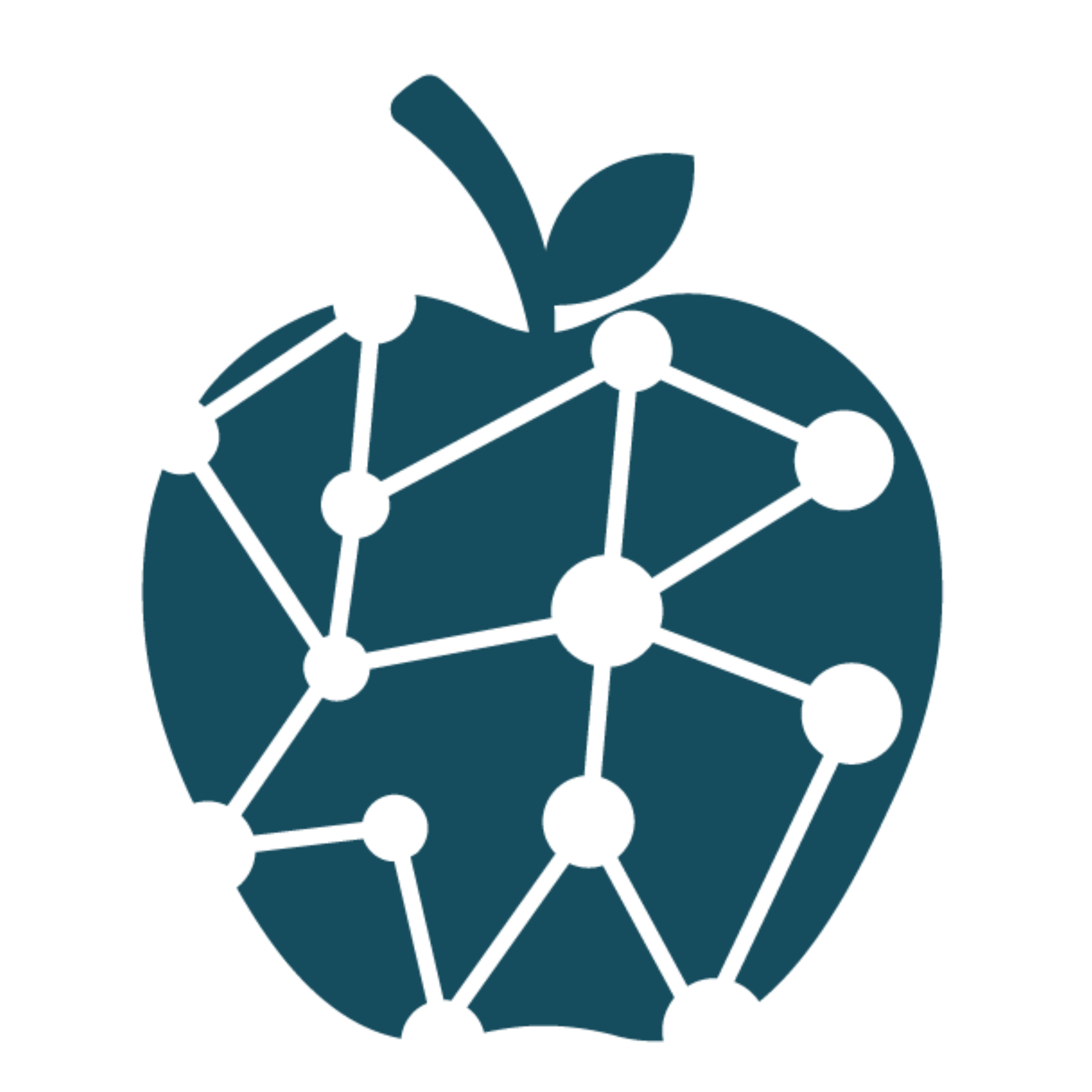isiNET logo